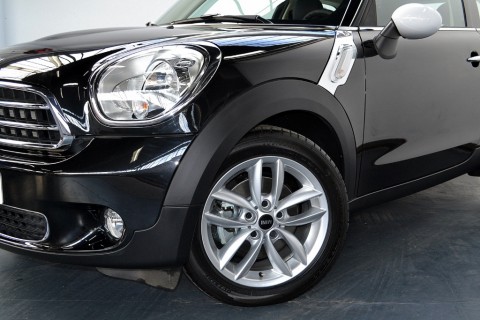 Mini Paceman